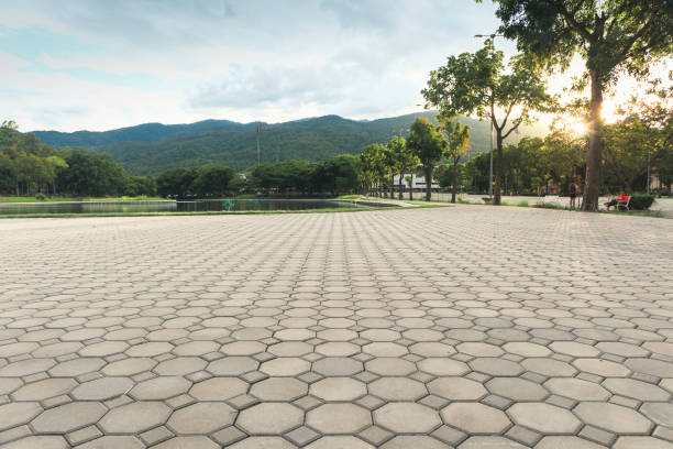 Best Driveway Paving Contractor  in Oxford, NC